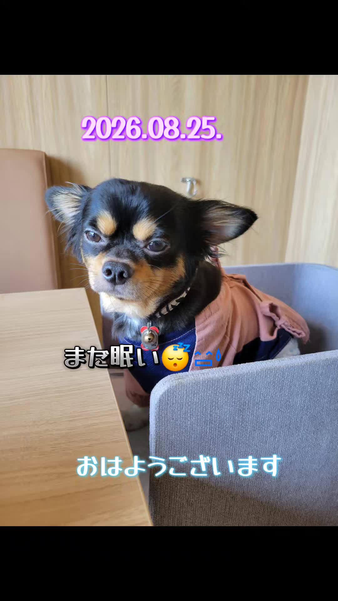 @くぅ♂︎成長日記♡