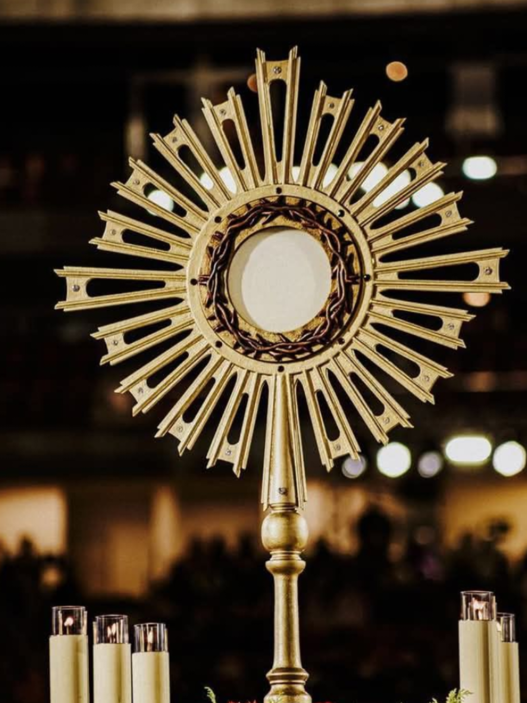 @jovem cat&oacute;lico