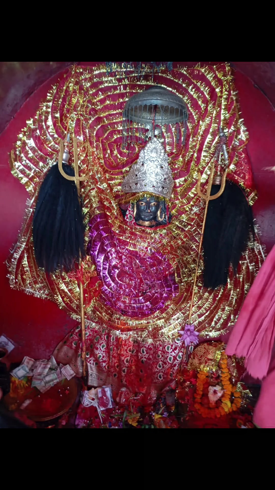 @nilam thakur