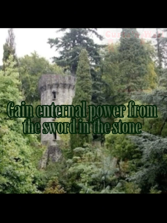 @✞🐈&zwj;⬛𝔅𝔩𝔞𝔠𝔨𝔦𝔢🌲⛤