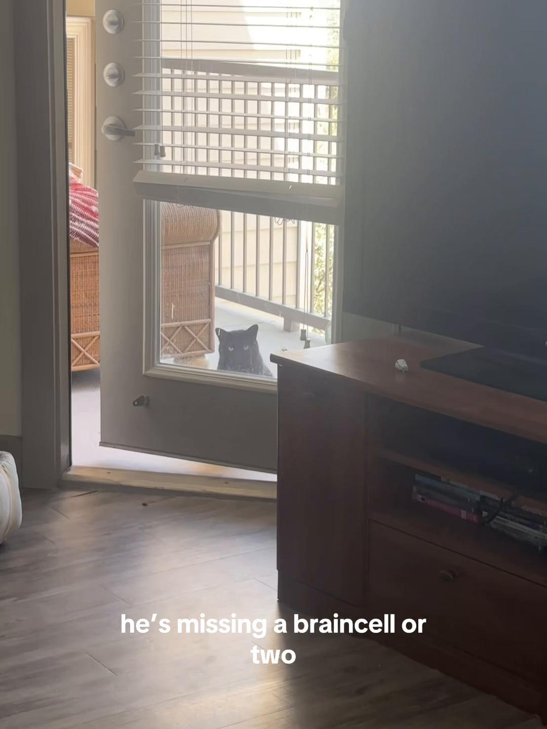 @karlakins
