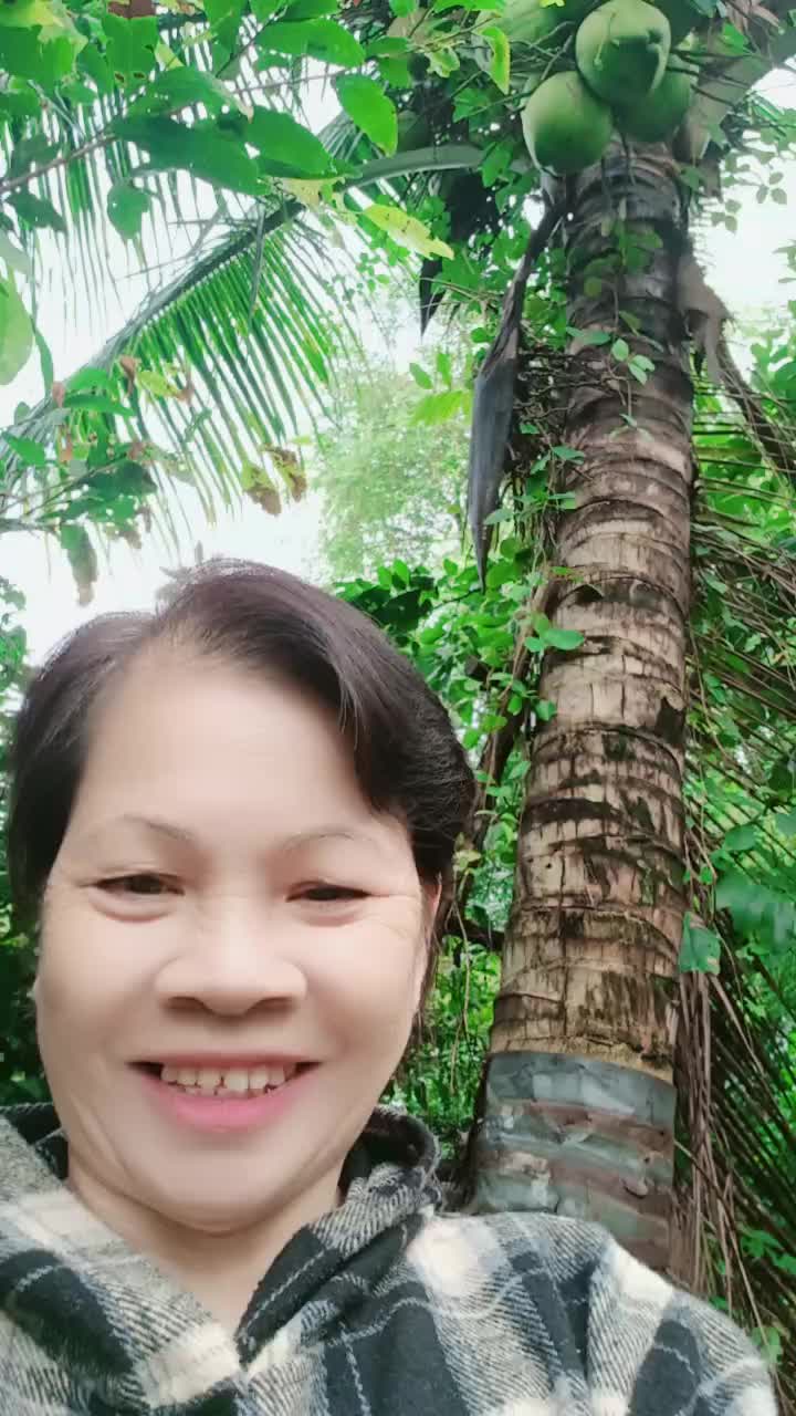 @Lâm3547
