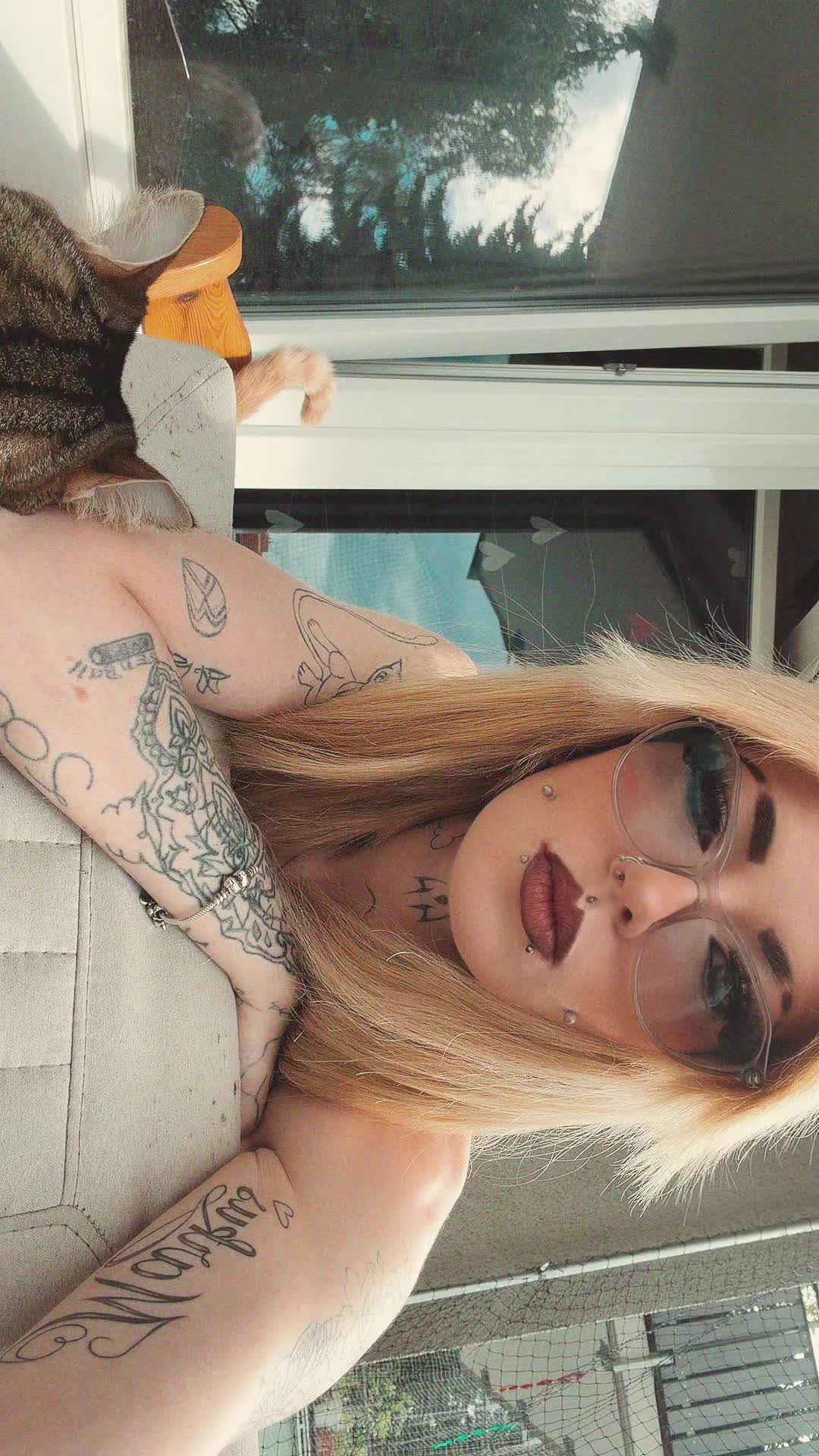 @🦋Kittycat🦋