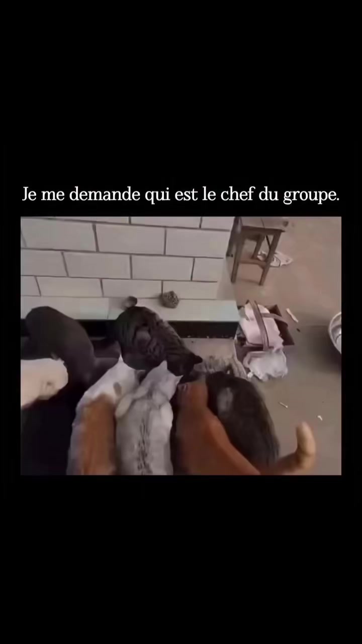@𝓐𝓵𝓔𝔁𝓲𝓐~𝓐𝓷𝓰𝓮𝓛