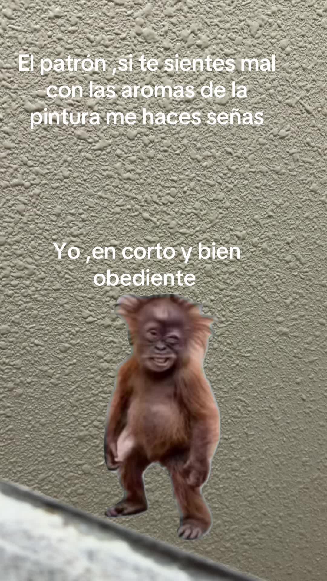 @antonysaavedra55