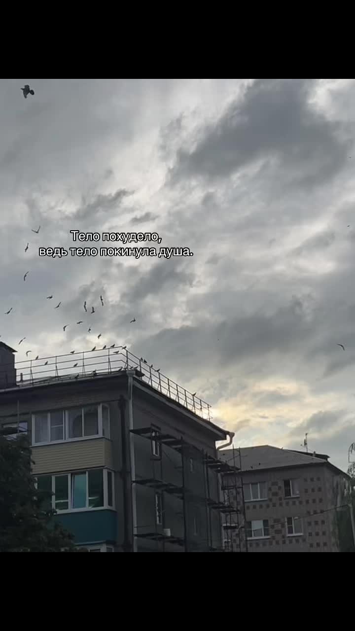 @Миронова