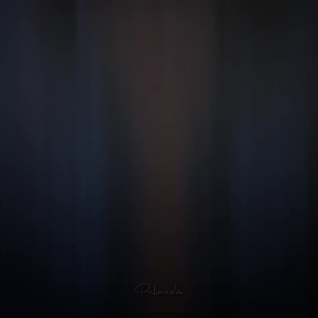 @Pelmeshki