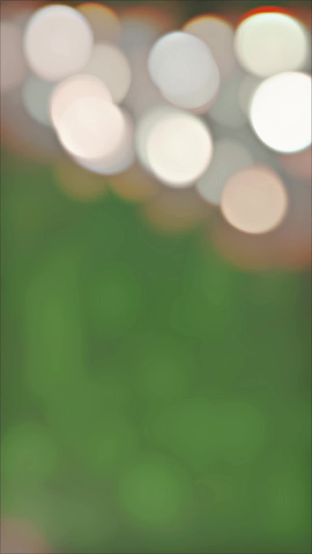 @अजय यादव