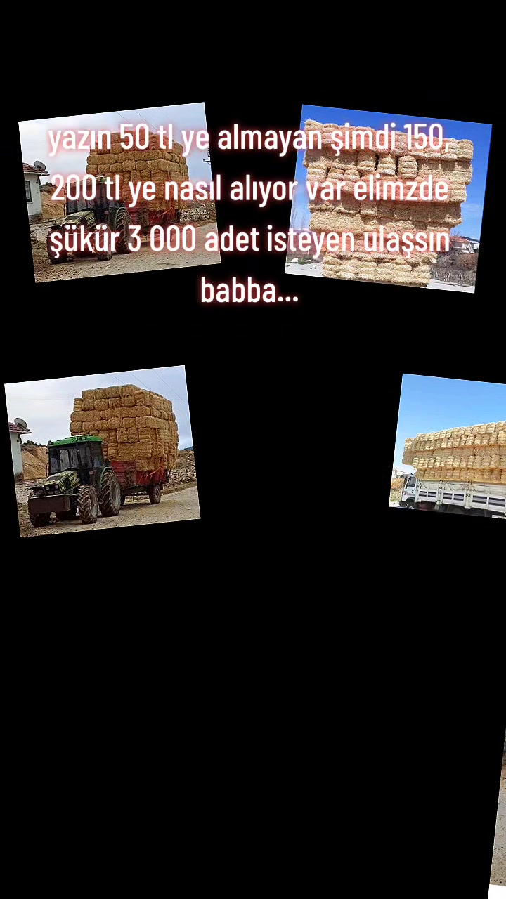 @SEDAT ALTIN