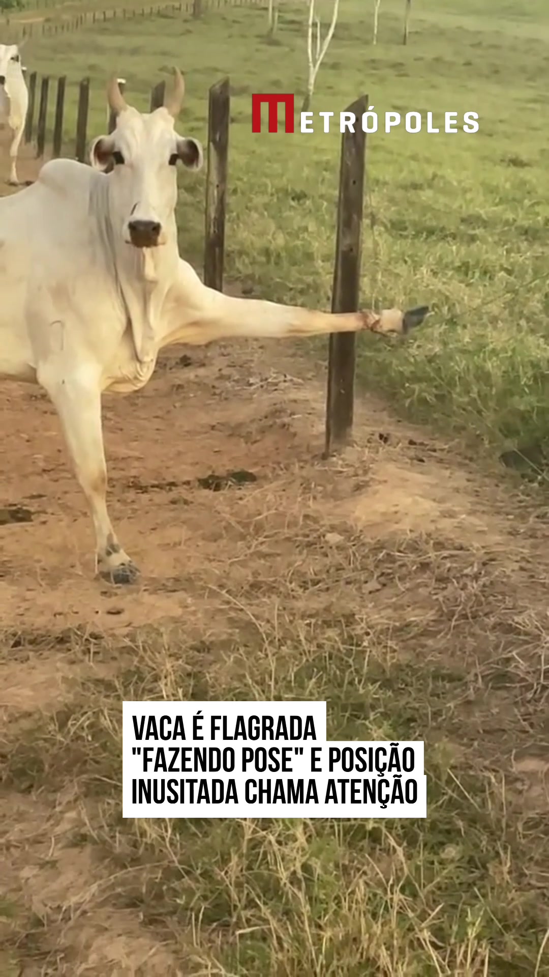 @Metr&oacute;poles Oficial