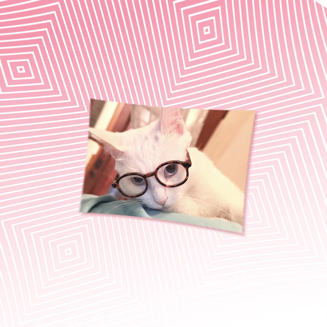 @› n-ra ✧