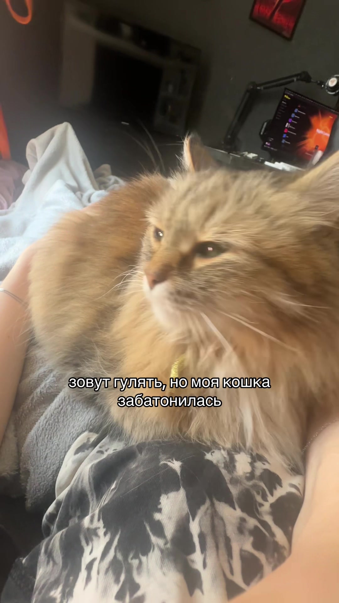 @тгк: четыре