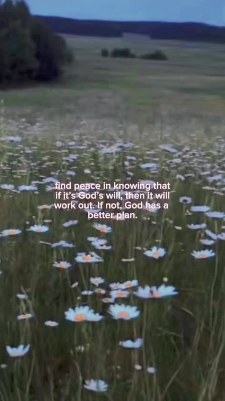 @Deirdre Ashley Corbett