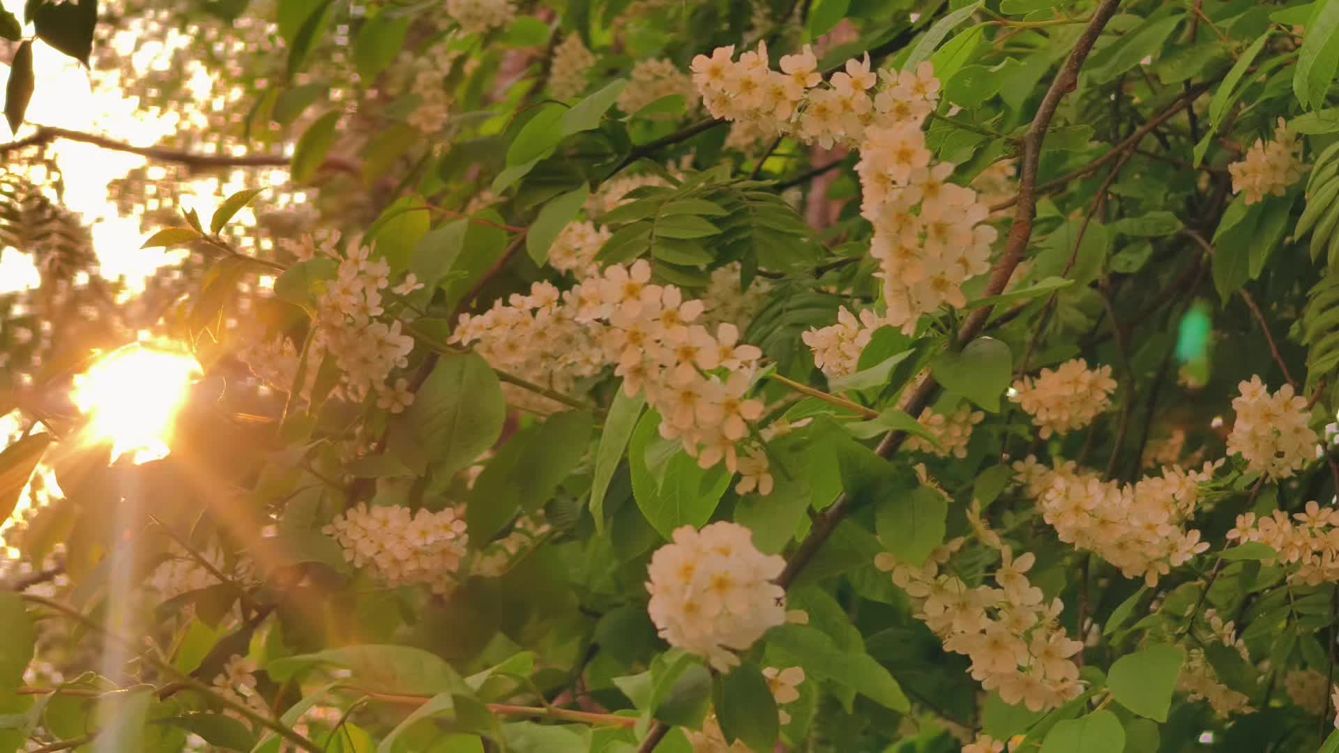 @f0sea_