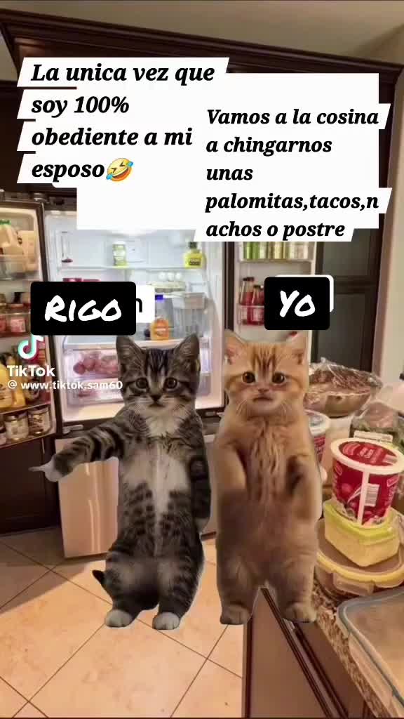 @Susana