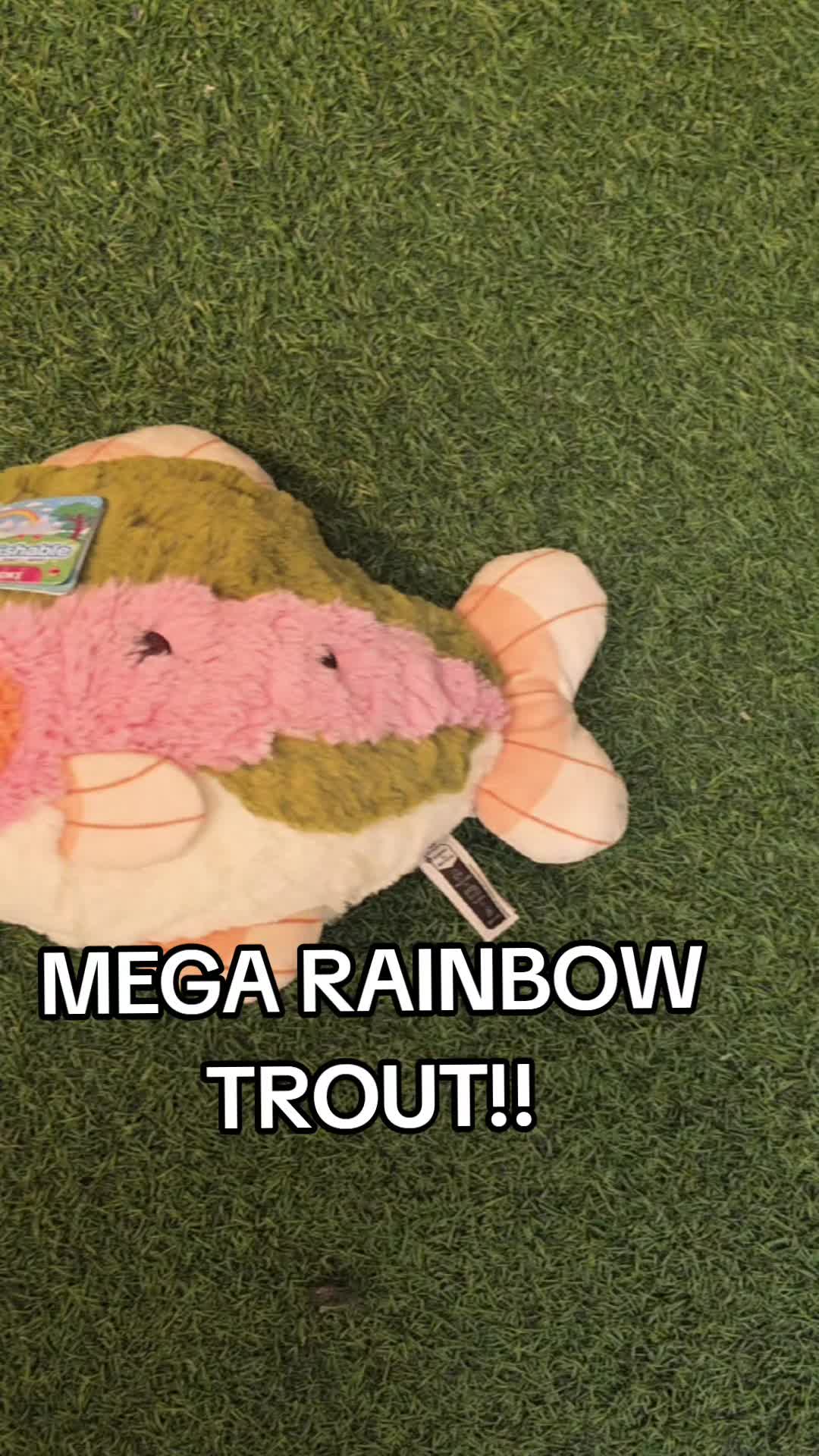 @Squishables_boisetowne&sup2;