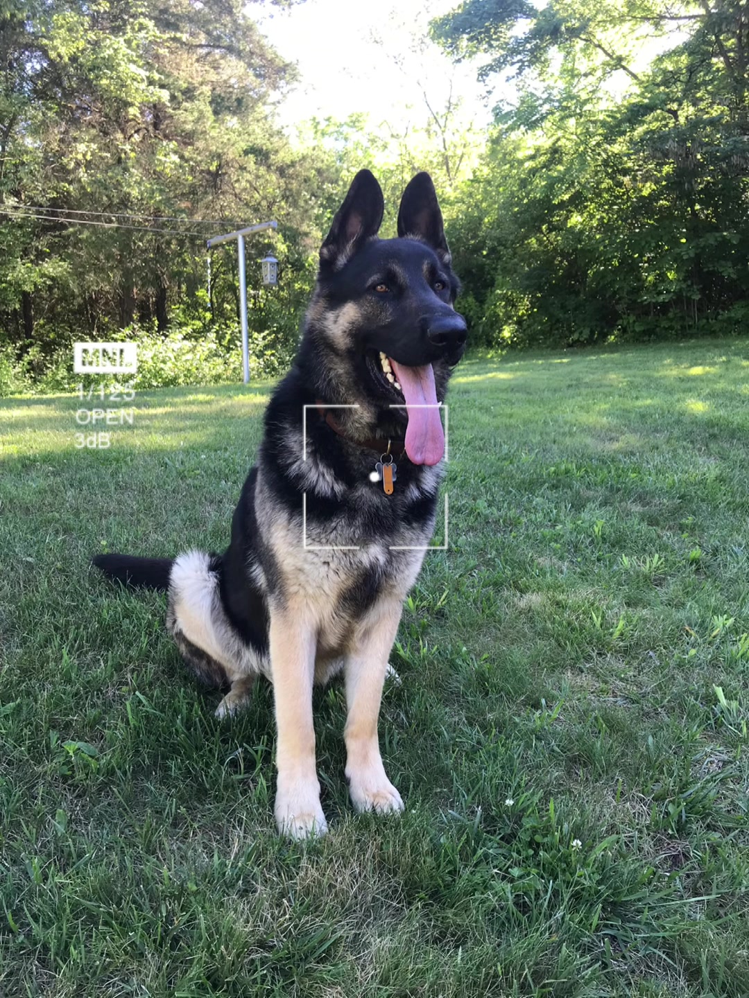 @MERCURY_GSD_24_7