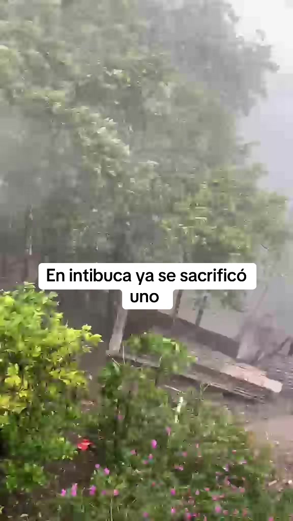 @Marlonsorto