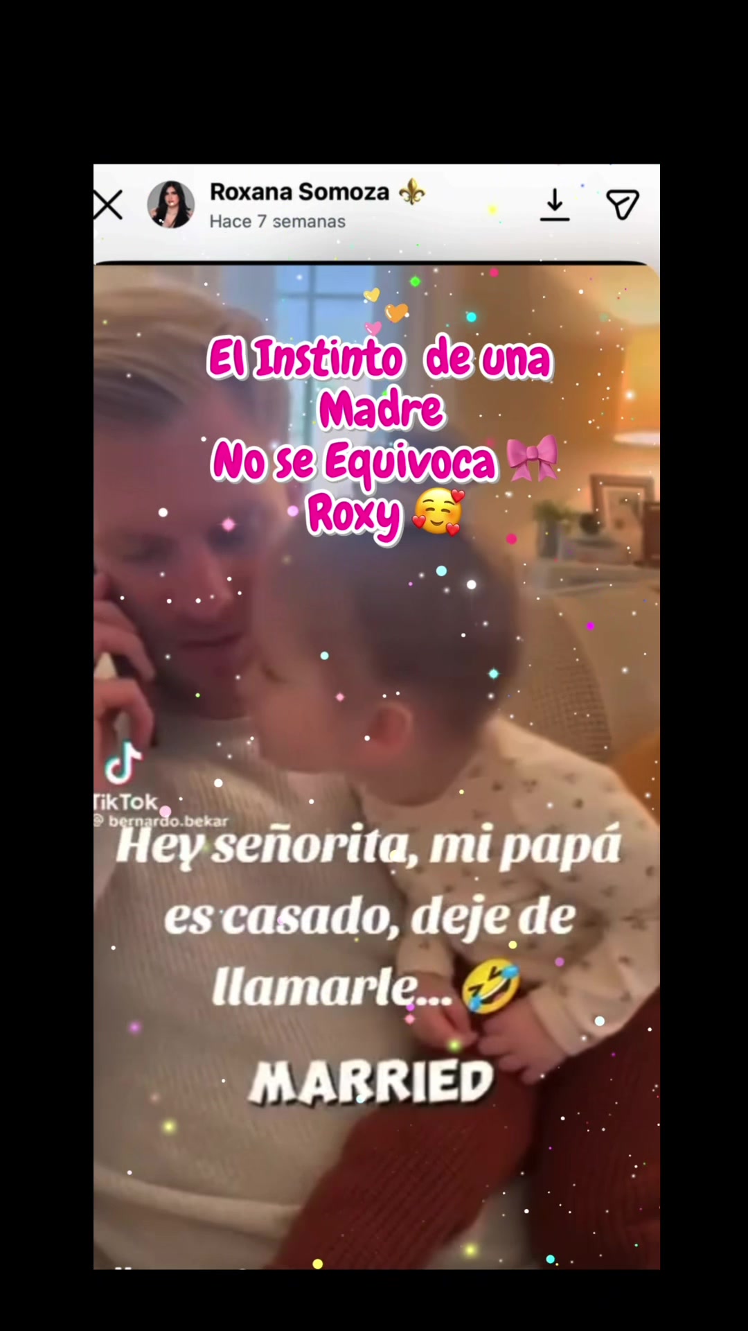 @EvaRox⚜️🐢