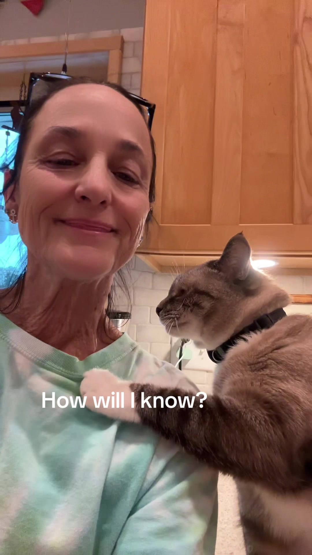 @bellkittiesmom