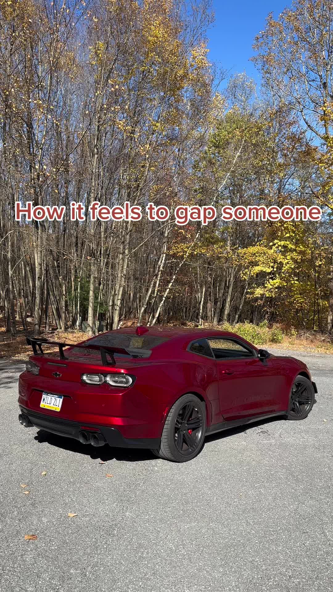 @VR ZL1
