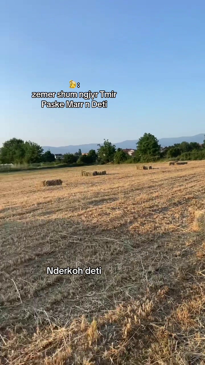 @Shtekerat