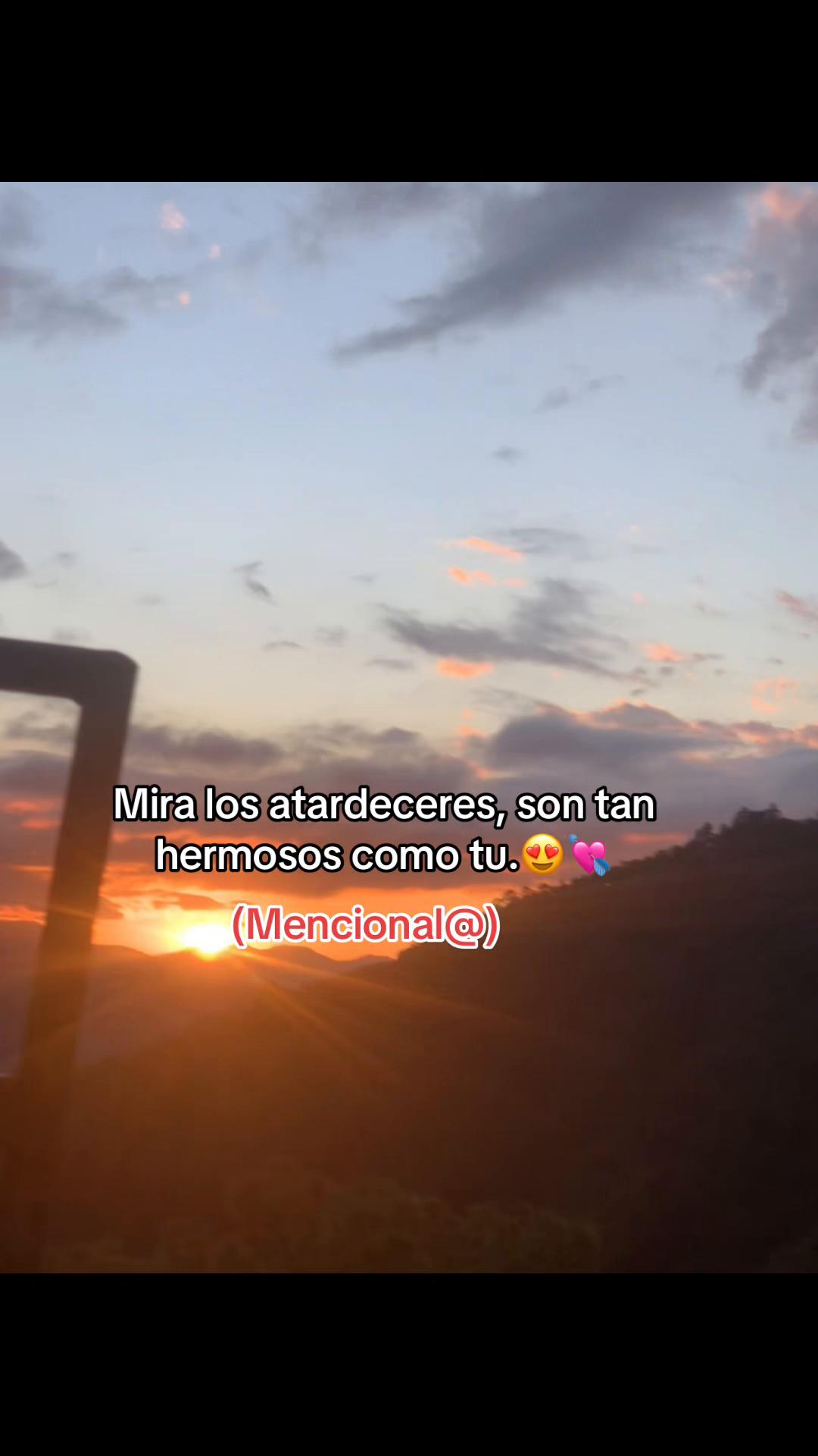 @🌓🐢Gaby🌓🐢