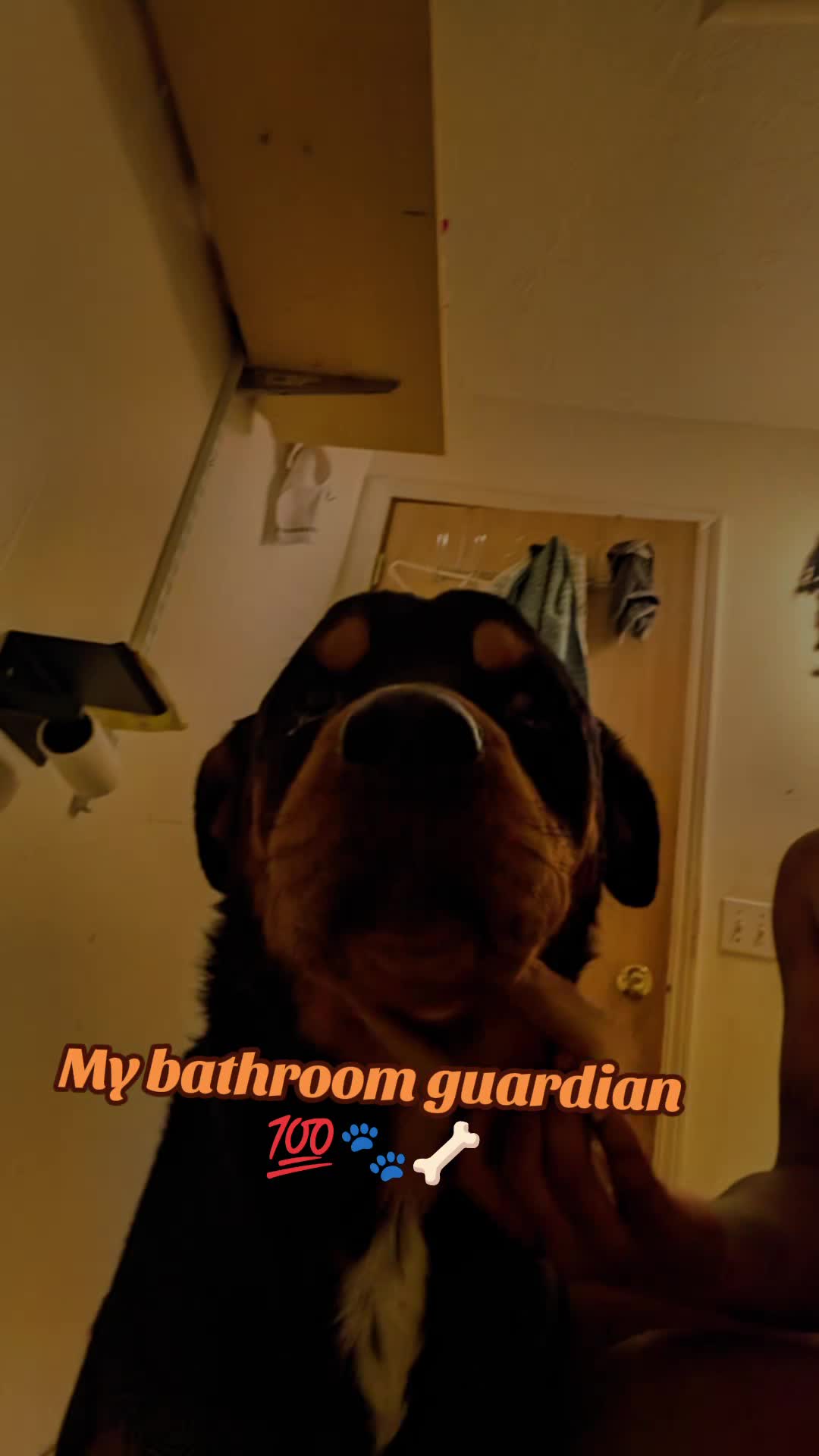 @BeardedTeyegress