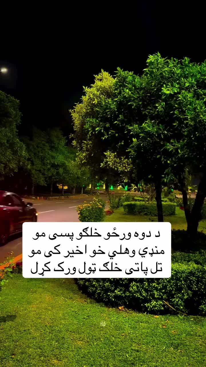 @𓆩•جّنگّــᬼــجّو٘•𓆪