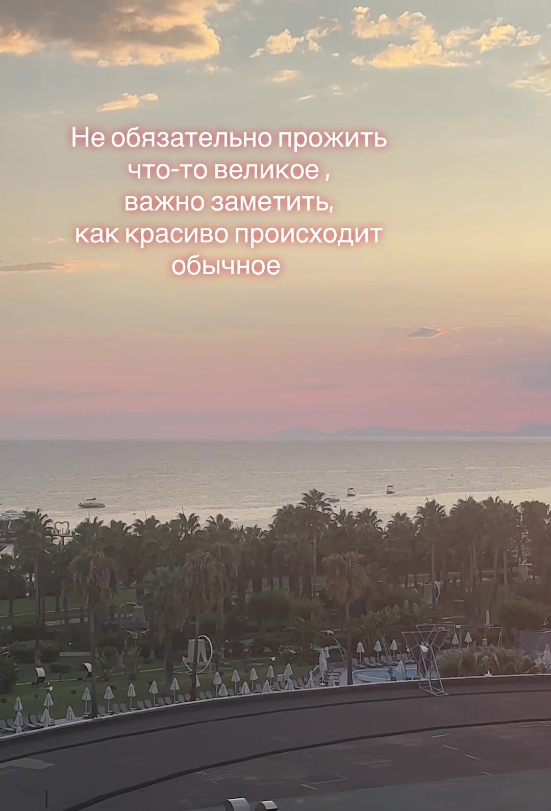 @olga