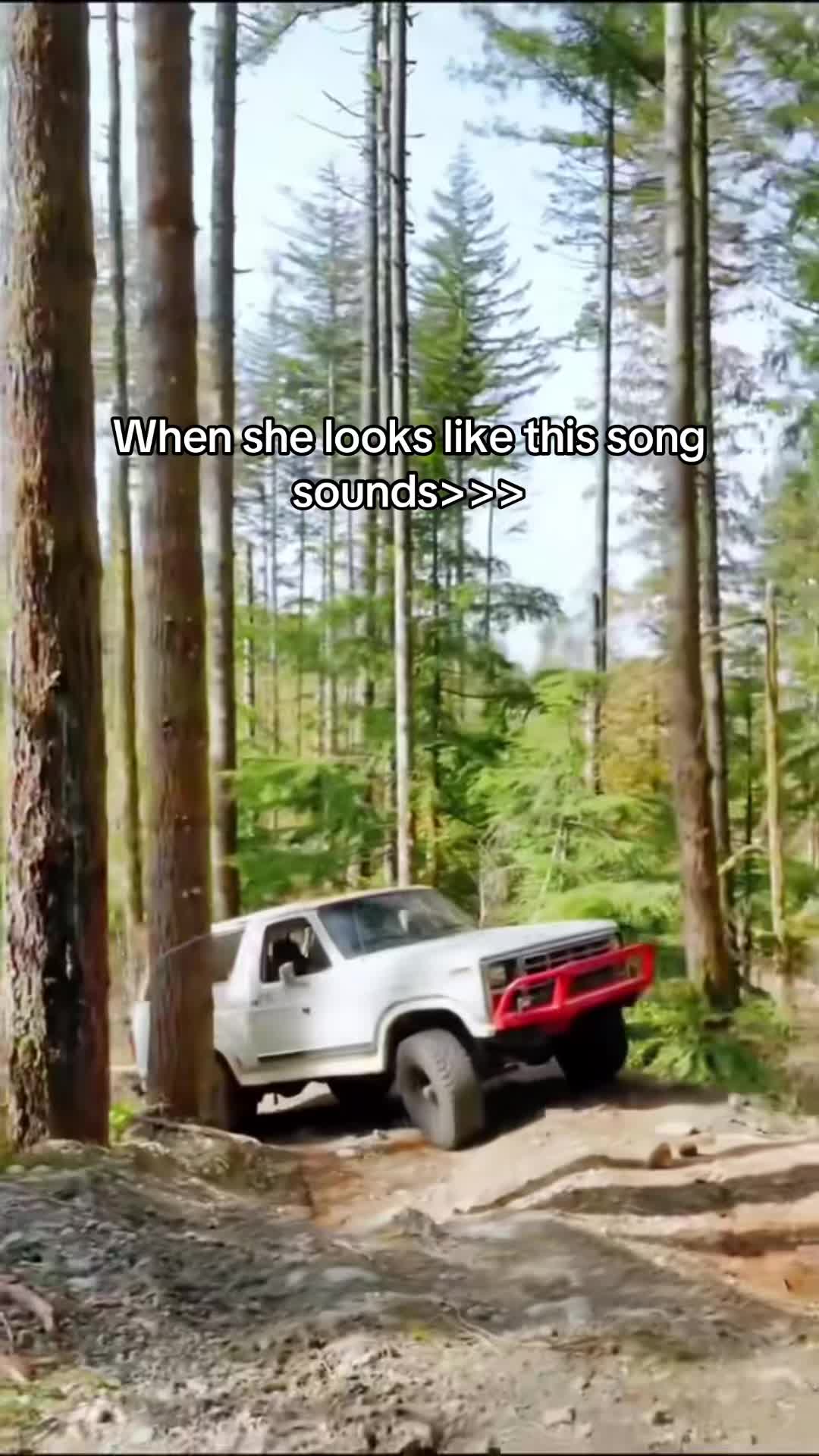 @Jolene The Bronco