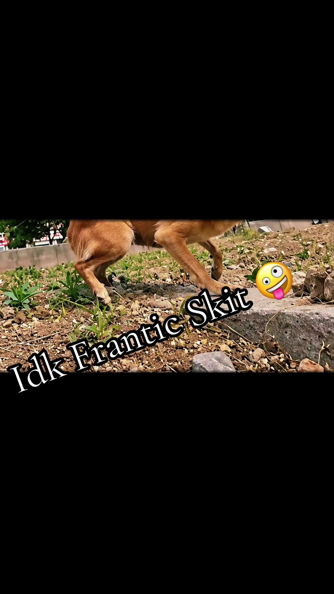 @frantics stuff