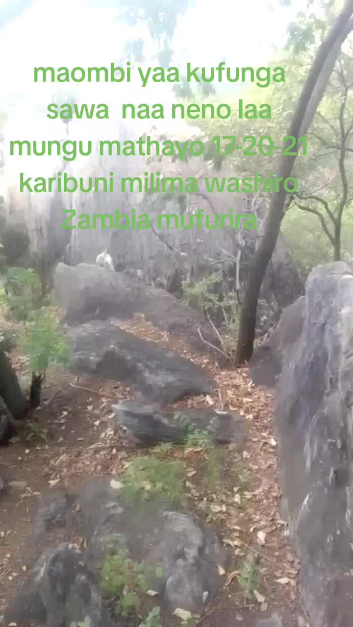 @Zakayo Mollel
