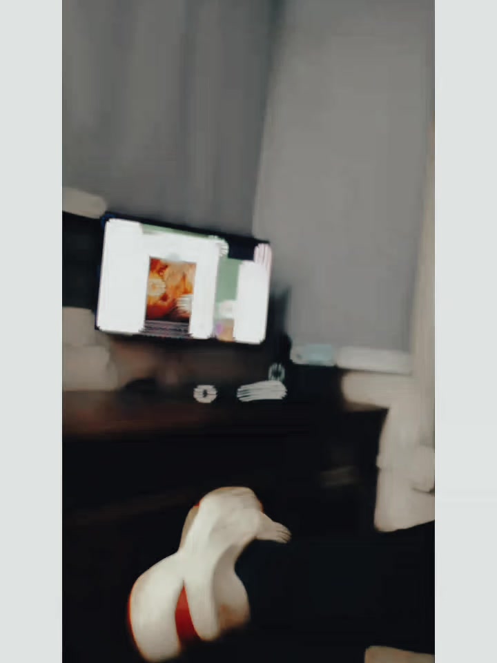 @اسجد مہر ✨🥀