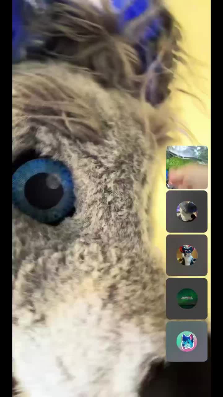 @ph0toshoot