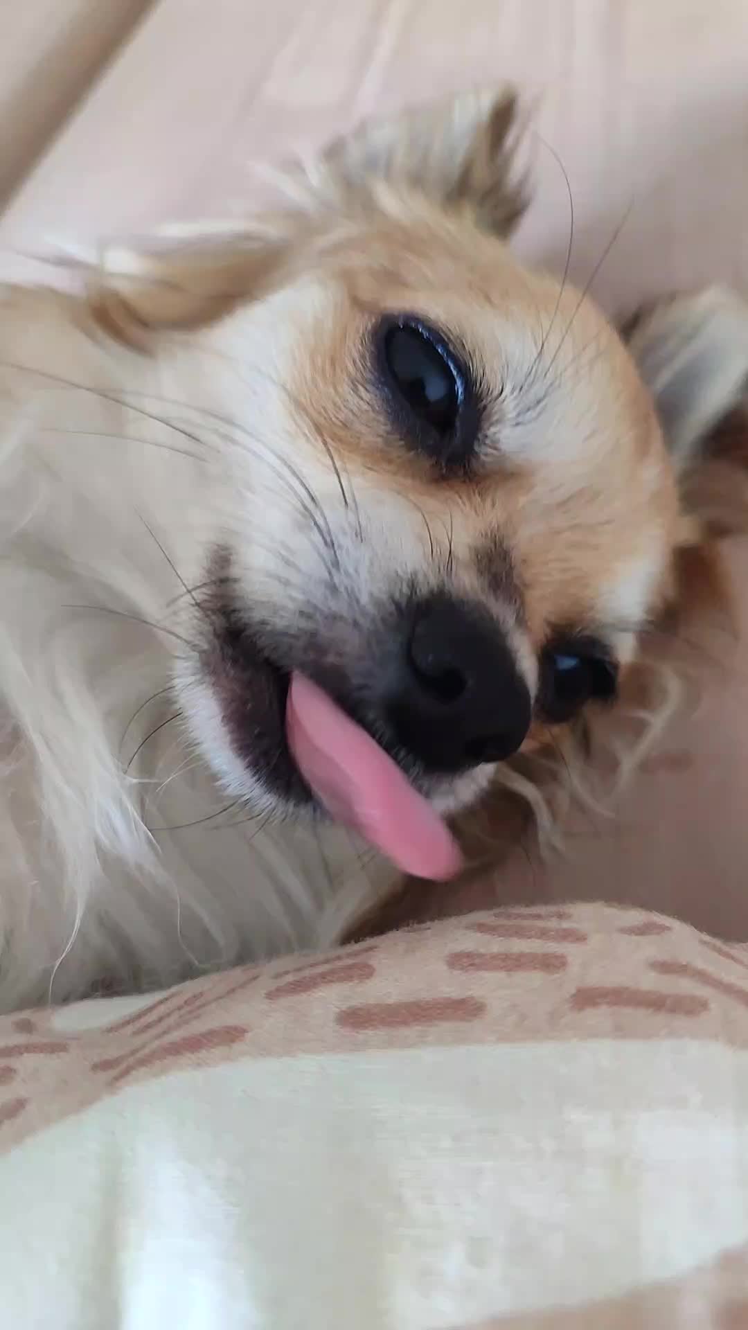 @Emily
