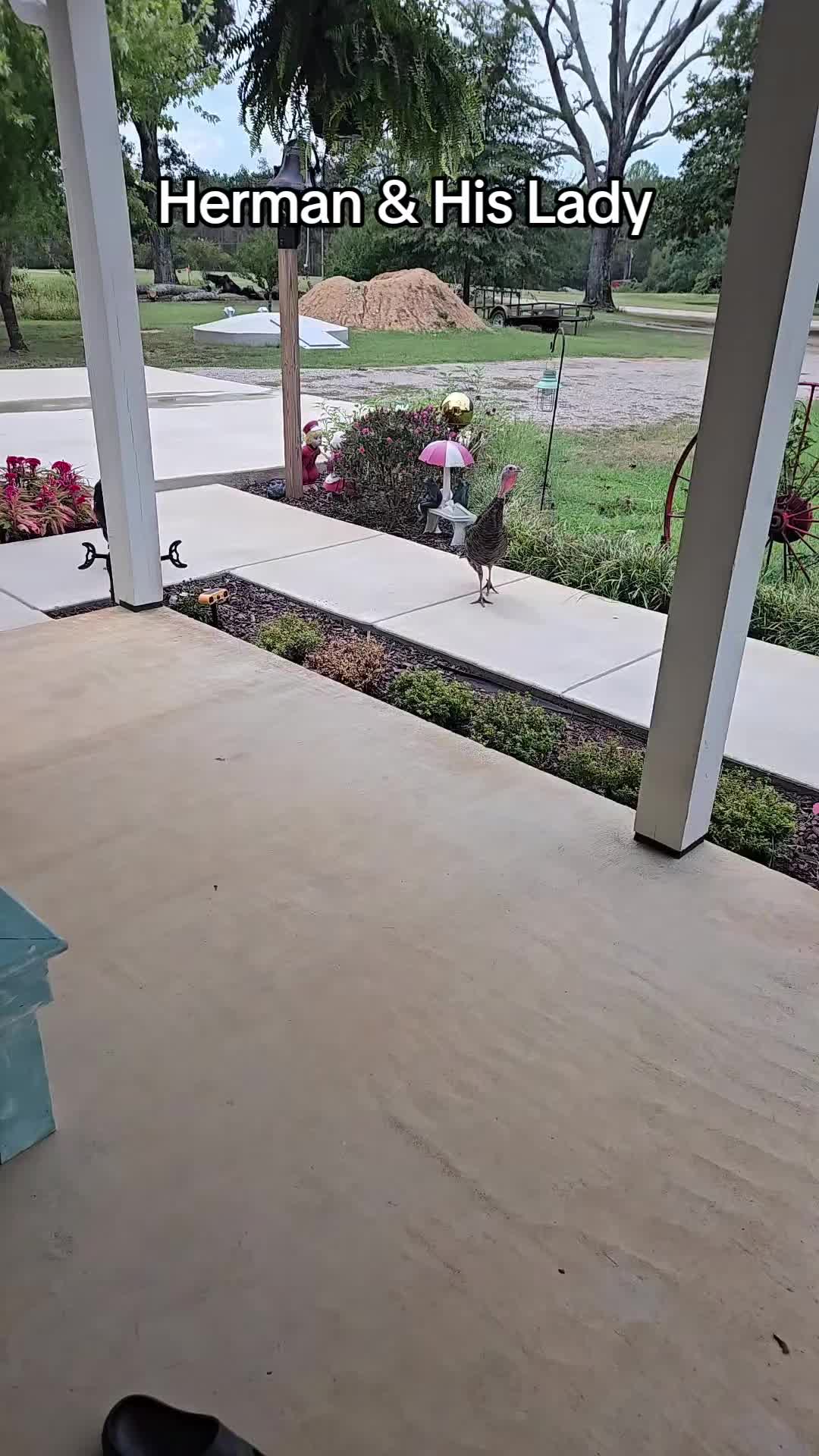 @Cindy