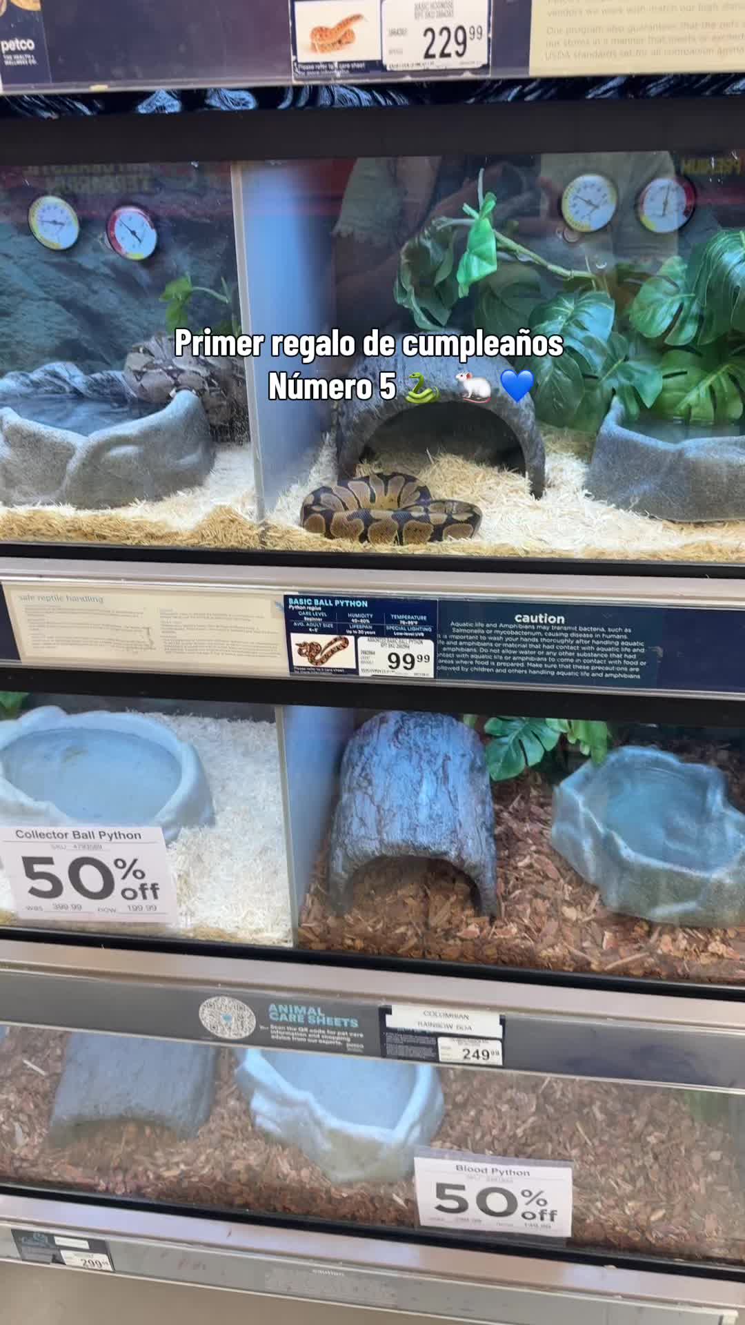 @paulina🩶