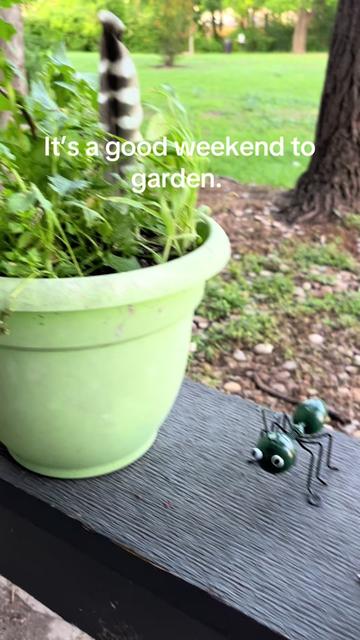 @Steven.Strange.Atx