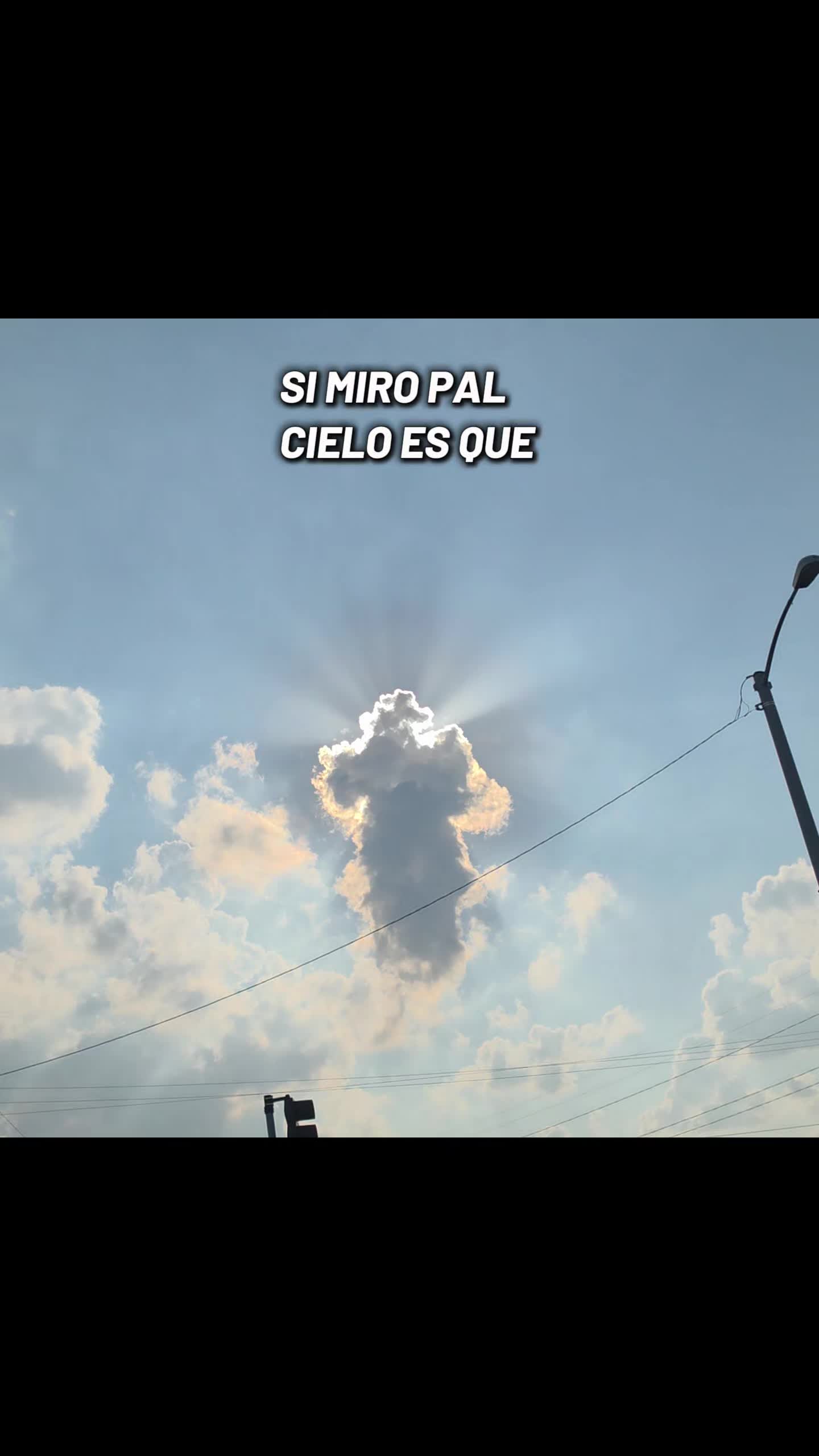 @Mayra Krystel