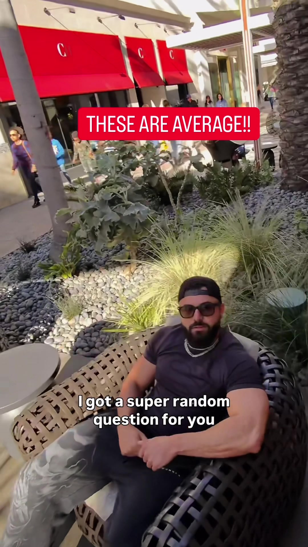 @Rippedmoroccan