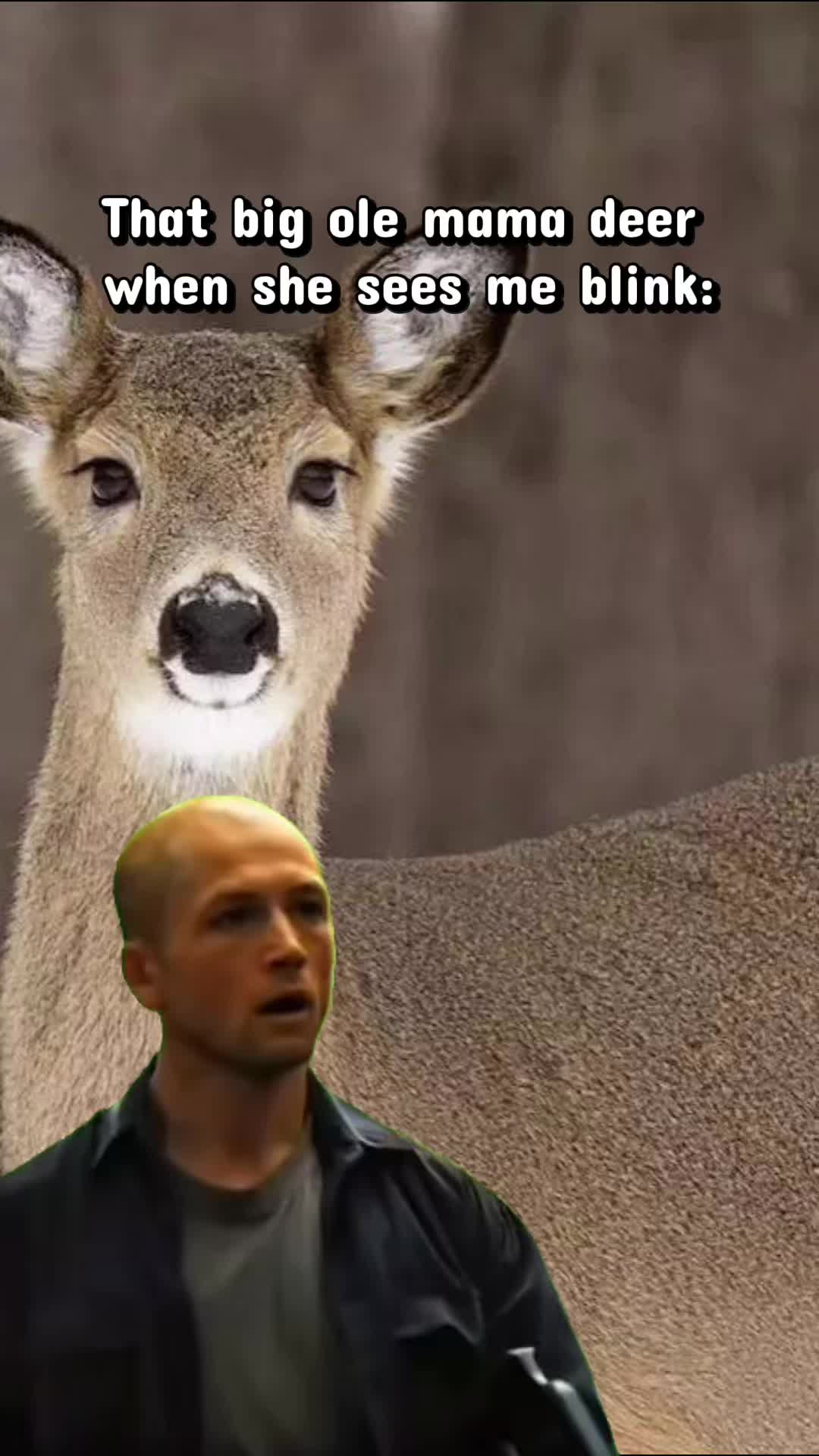 @Lilwolf