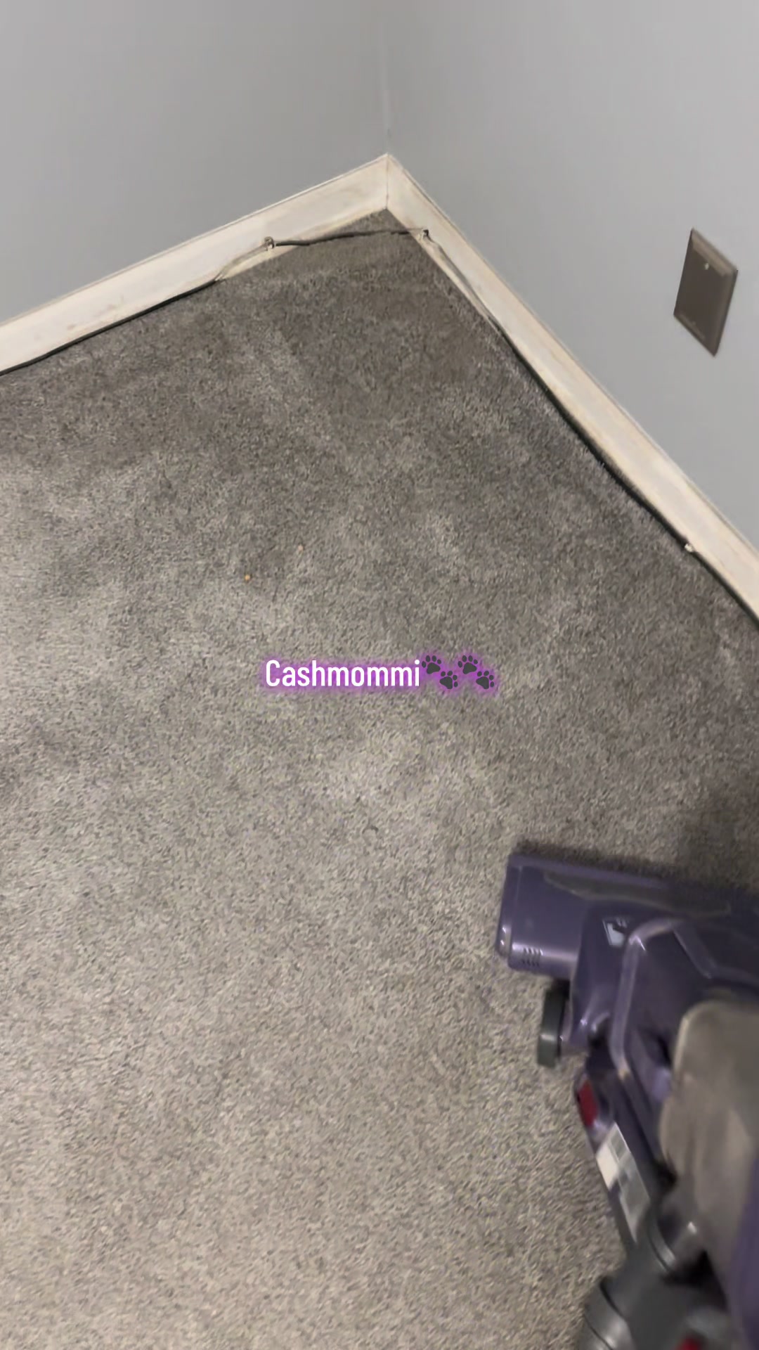 @CashmommiVacs