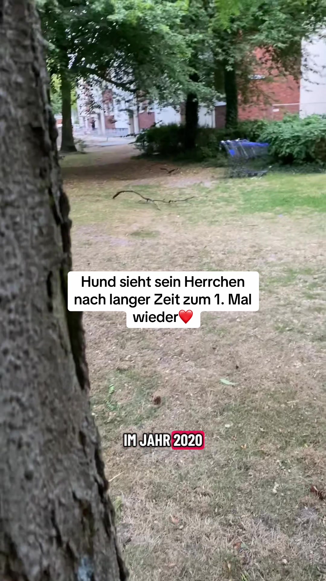@XXLBALU