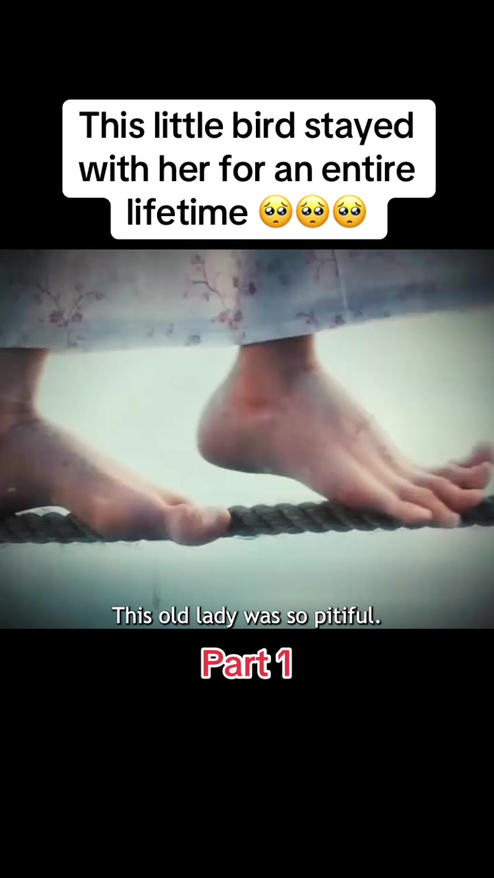@summerclips