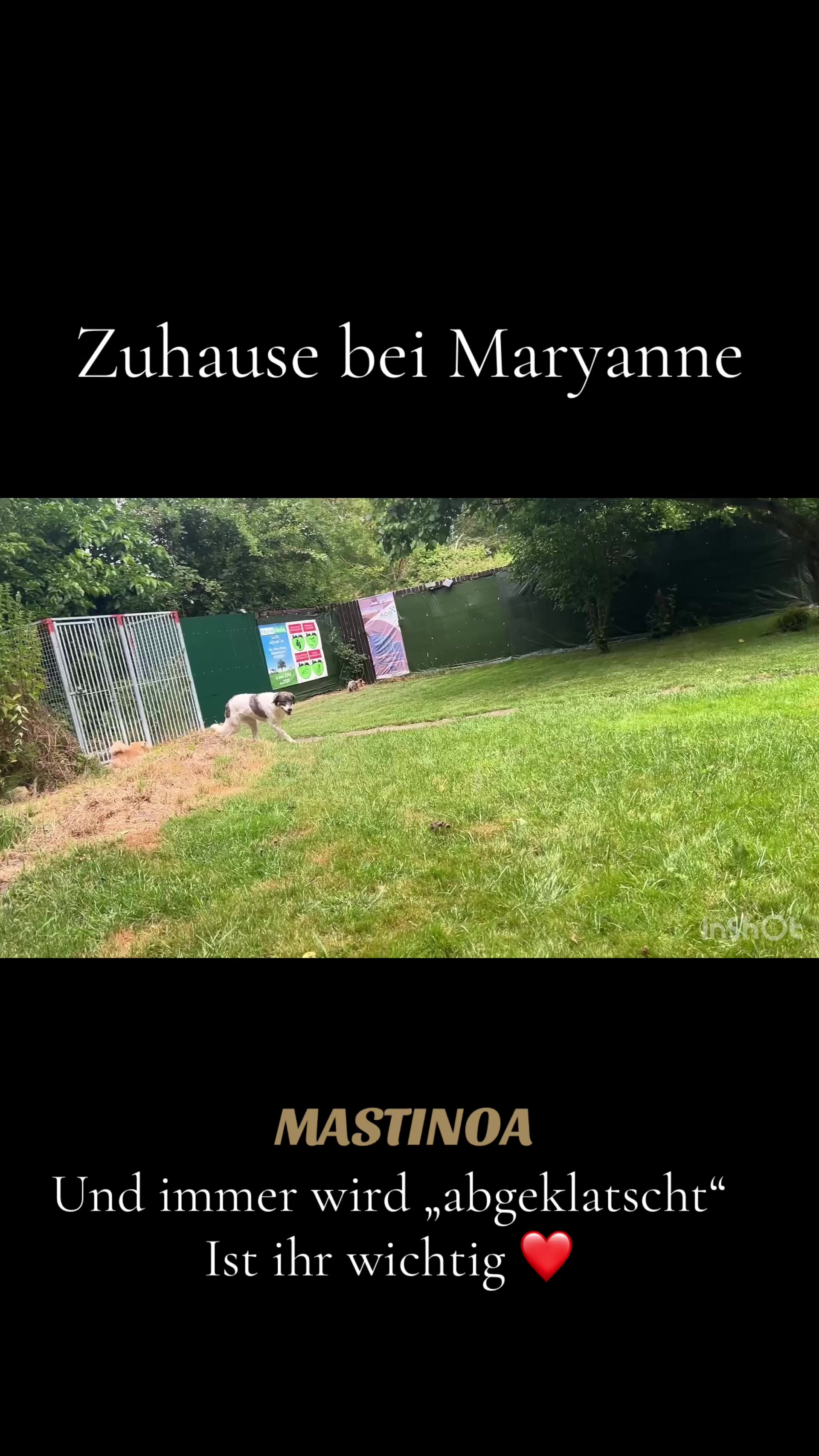 @MASTINOA pro
