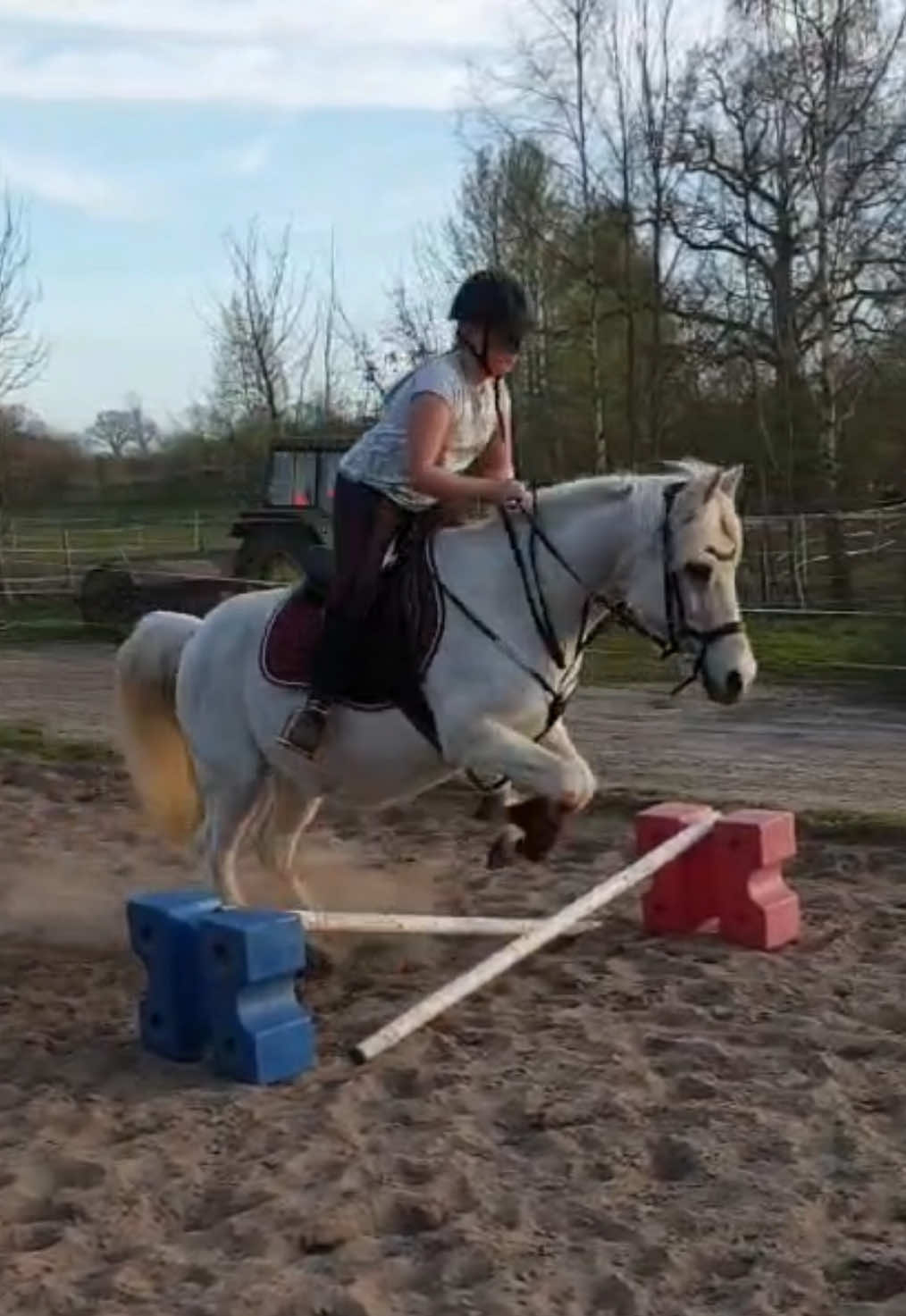 @sophie.banck173