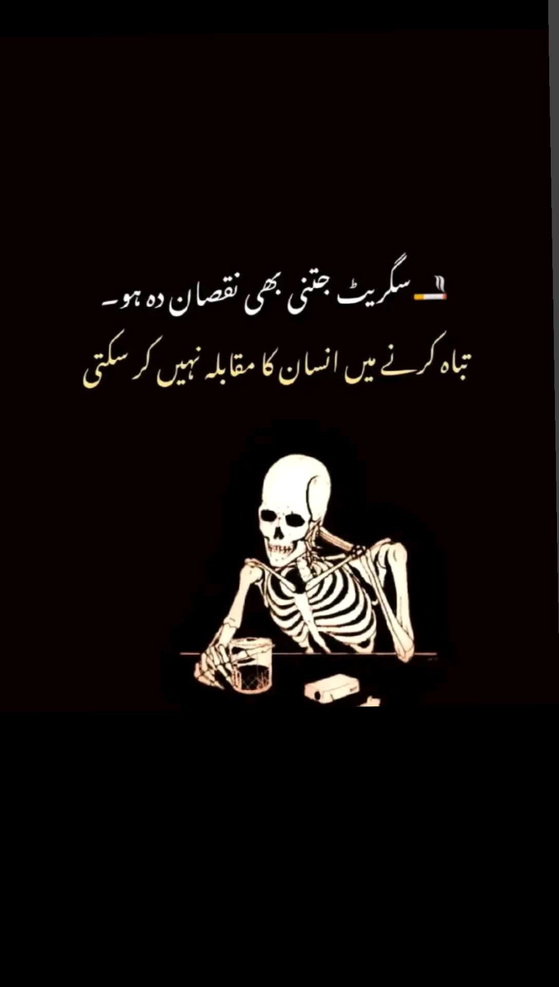@King👑of🦁 Lahore