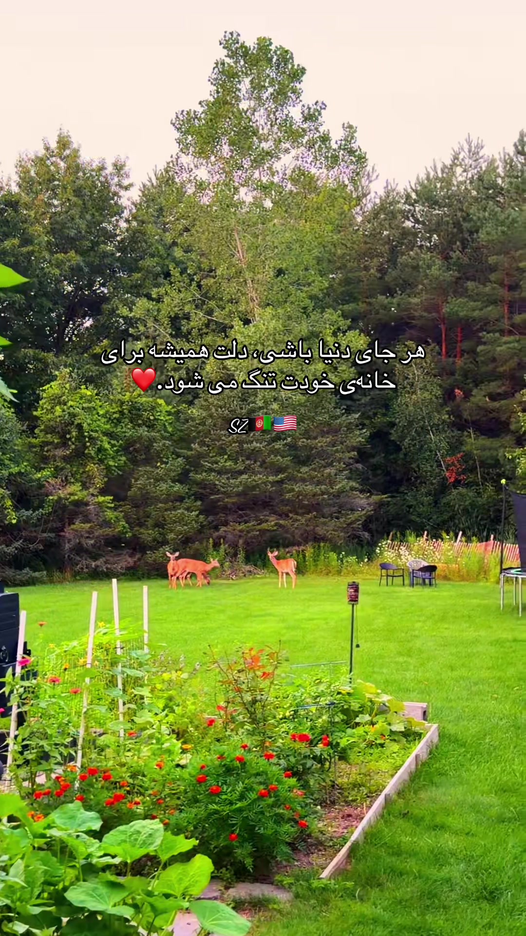 @Shamilazia🇦🇫🇺🇸