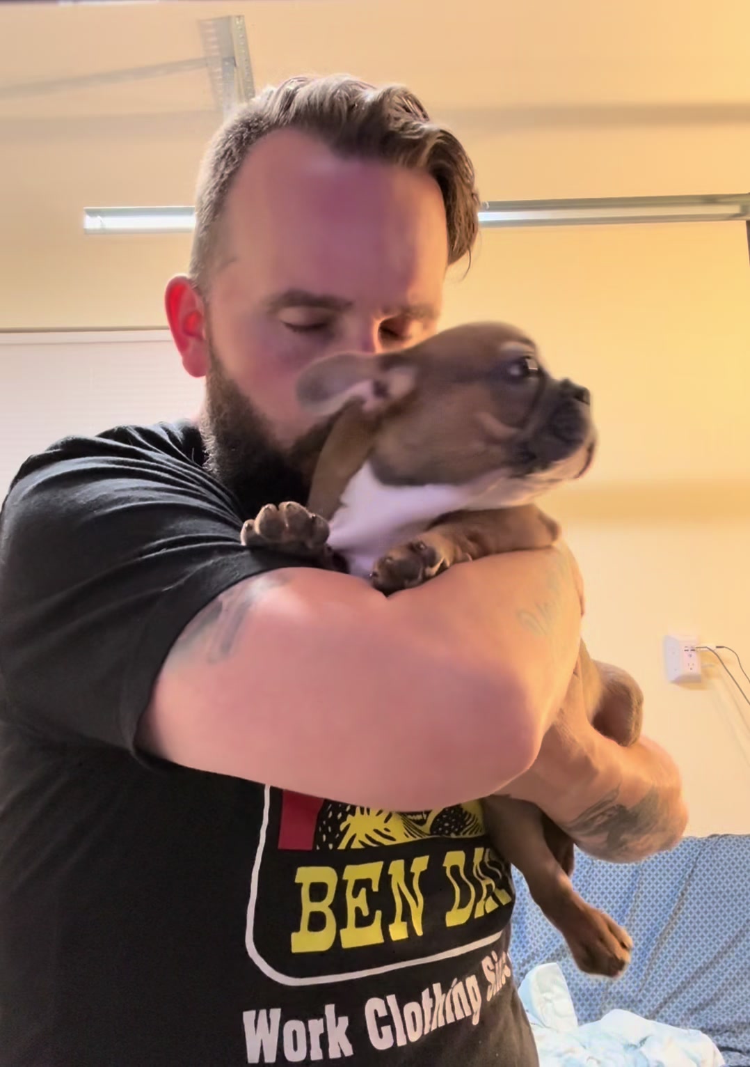 @FrogFaceFrenchies